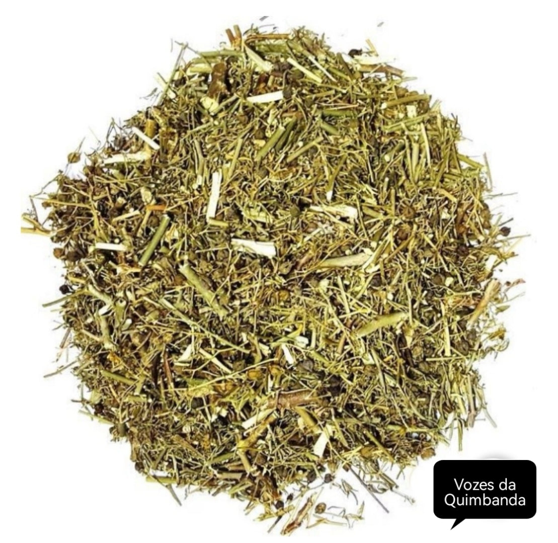 Arruda – planta 1kg