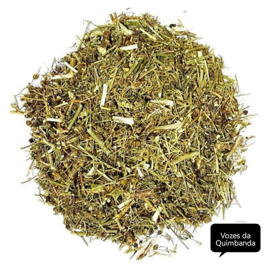 Arruda – planta 1kg